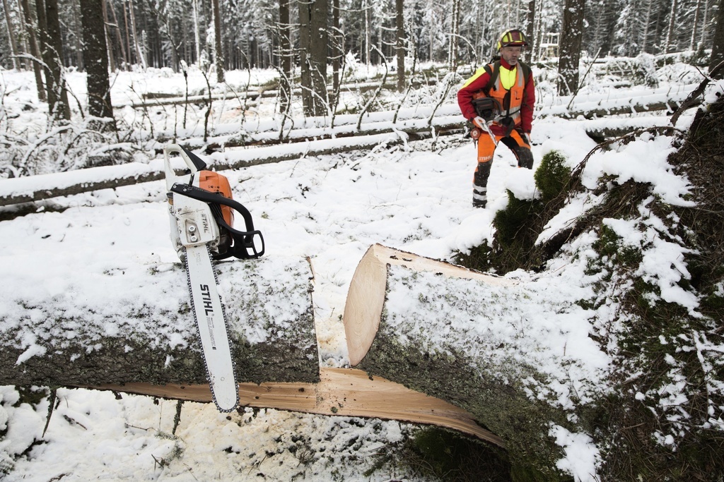 Staten Ratar Stihl Efter Lättklädd Kalender