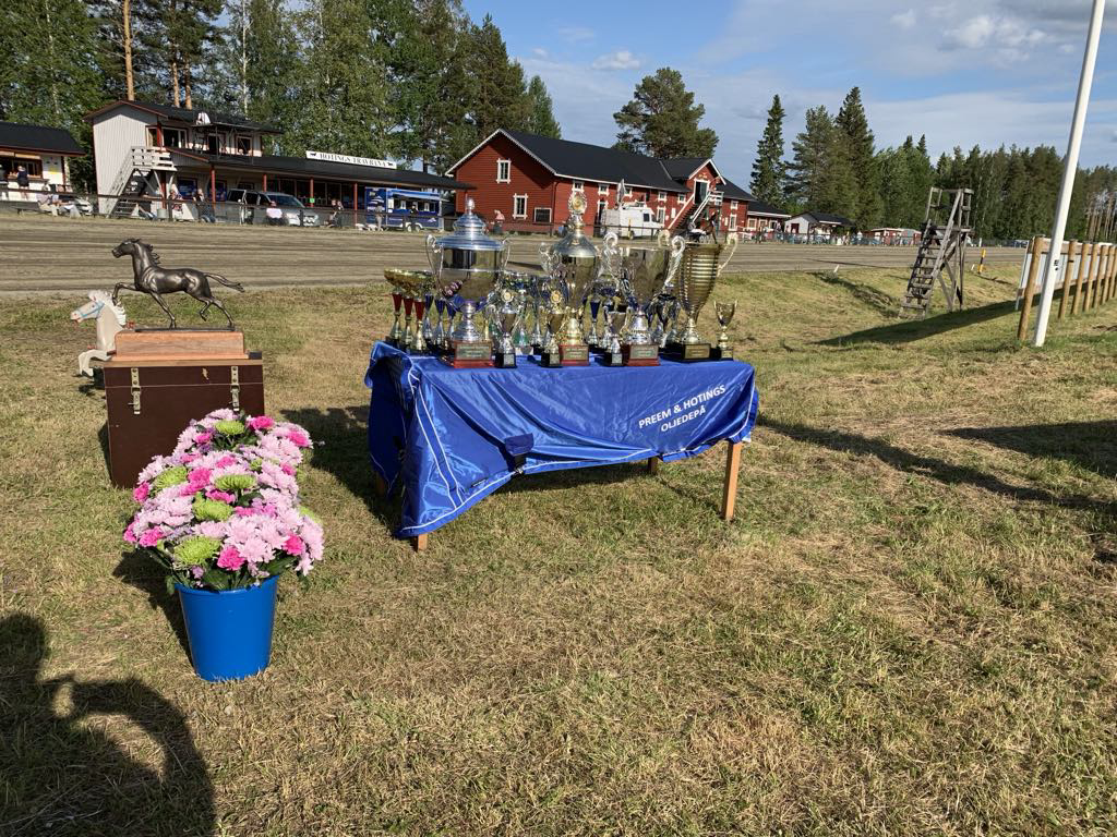 Hotingtravet – sommarens höjdpunkt inom travet
