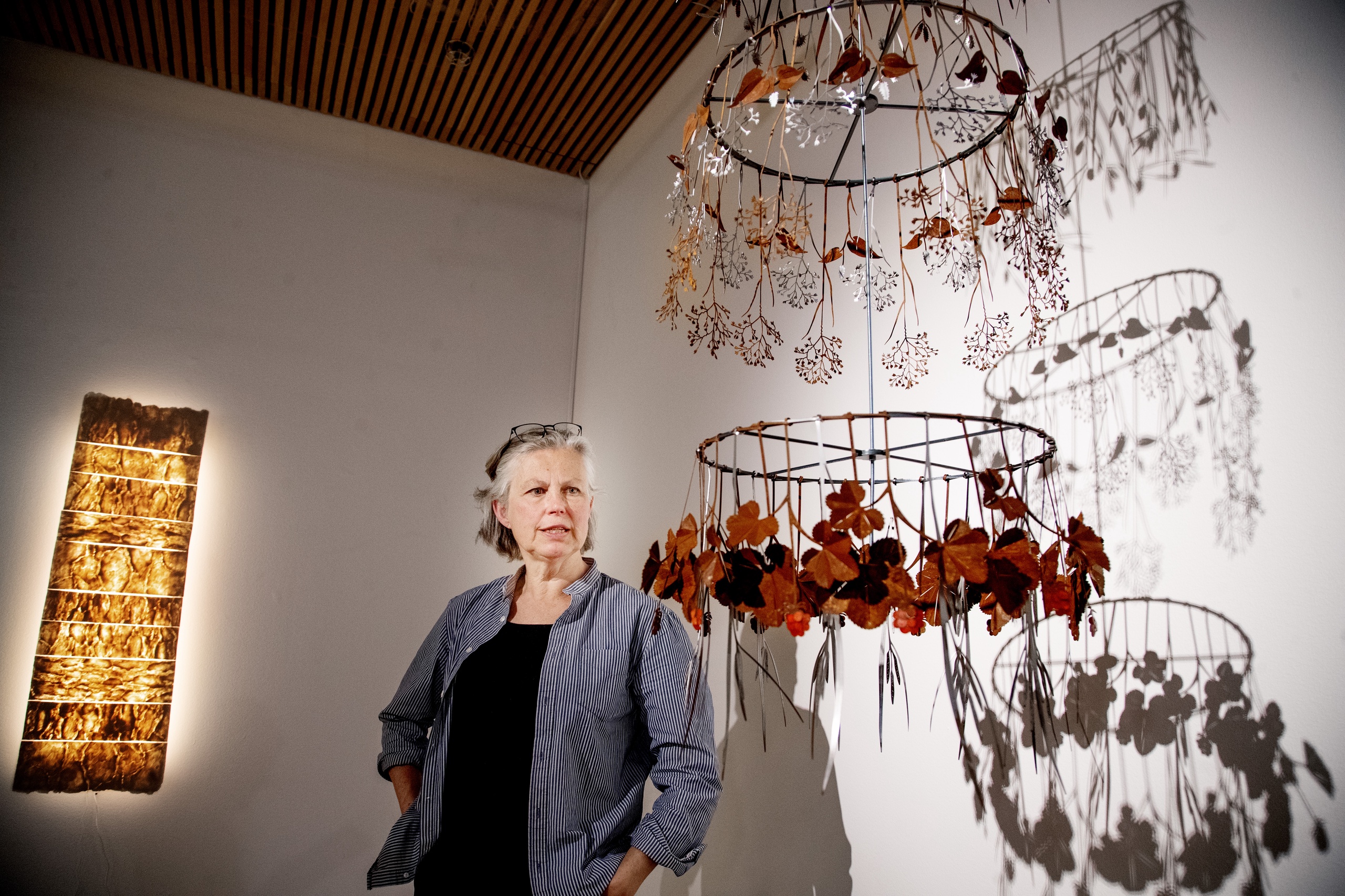 Bröstvårtor av glas och myrmark i stål i konsthallen