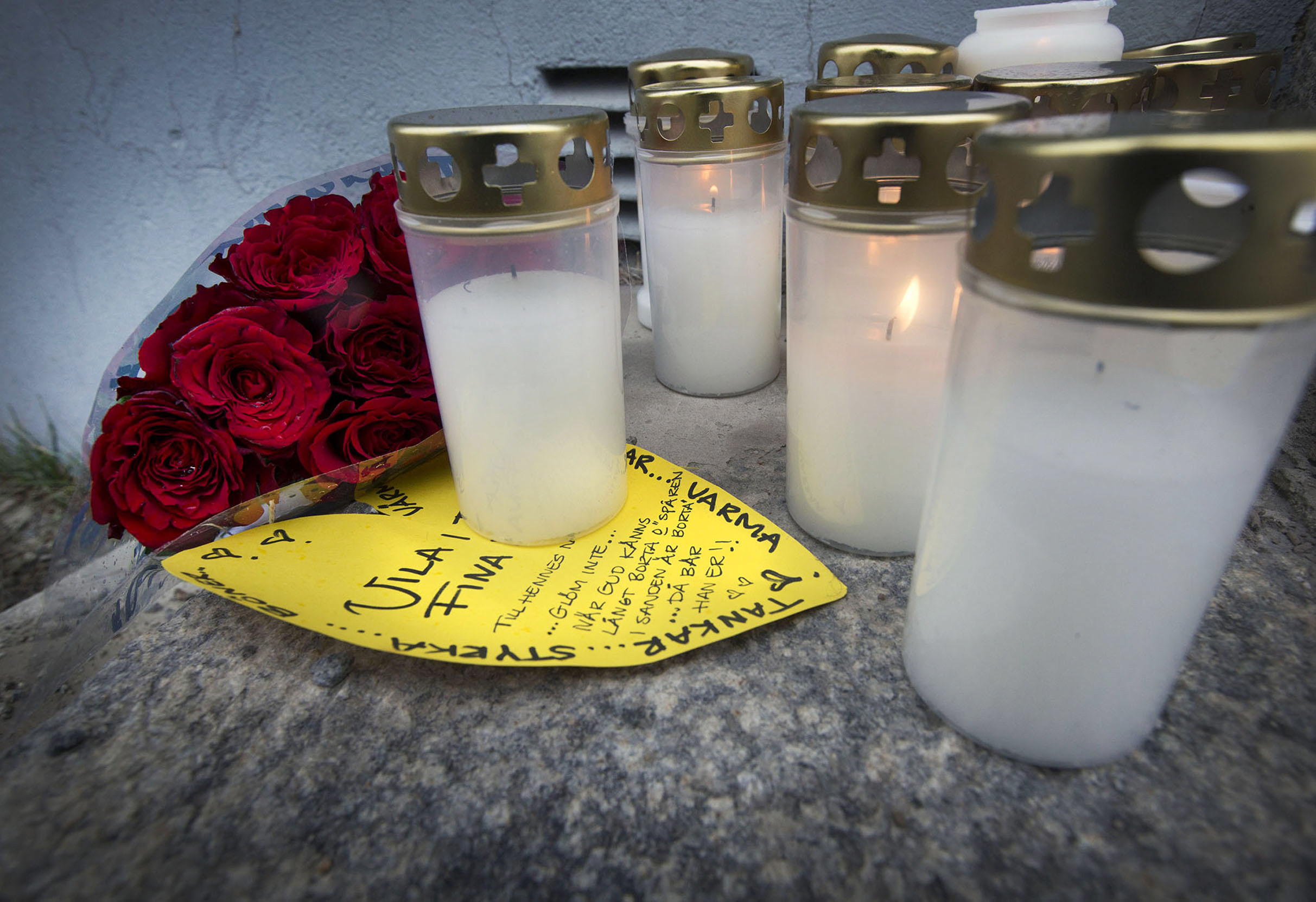 Dömd för mordet på Elin Falk begär resning