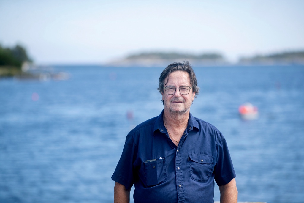 Dyster prognos för surströmmingen – även i år