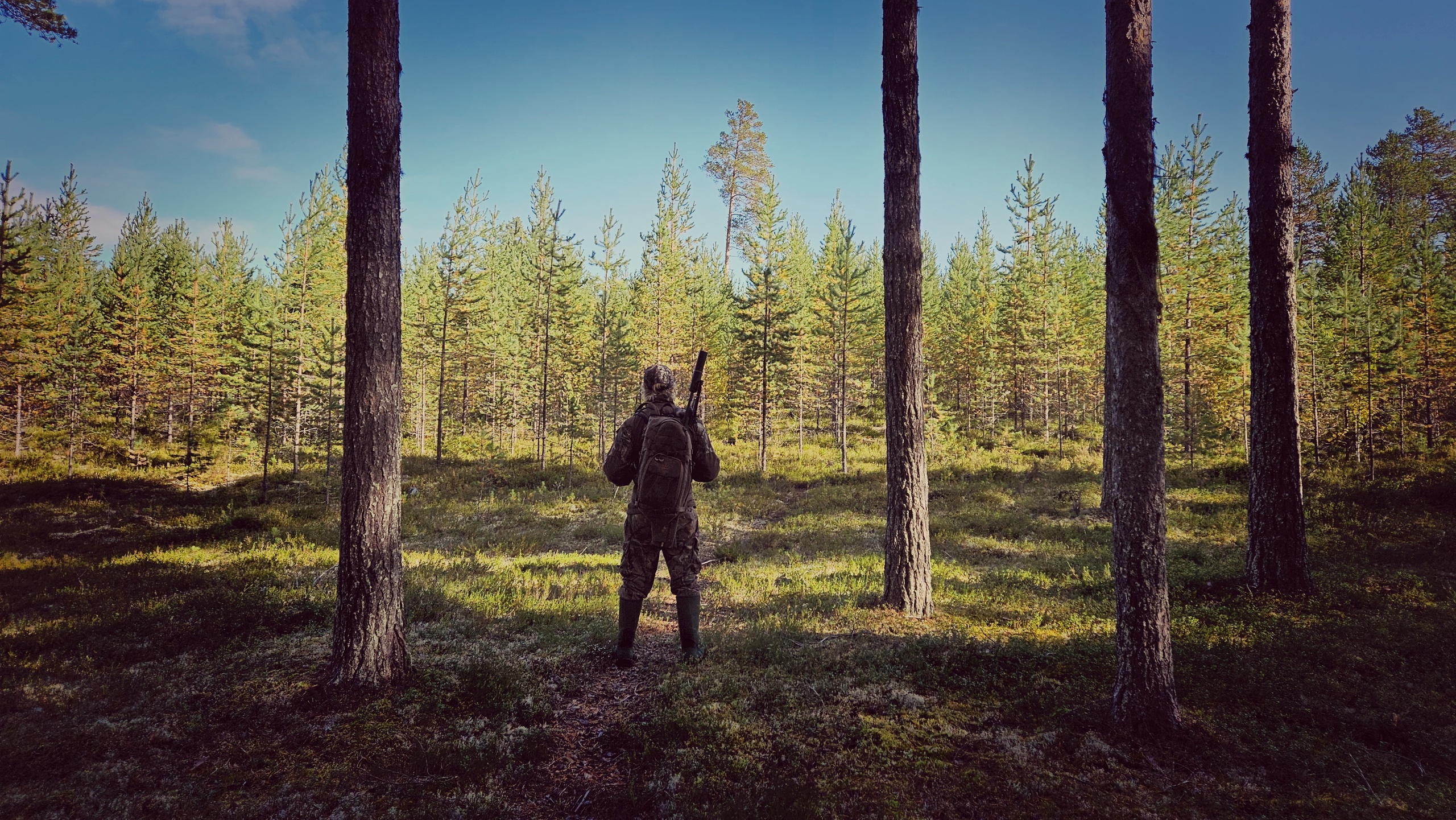 Jägare vågar inte kritisera skogsbolagen: ”Håll truten och skjut”