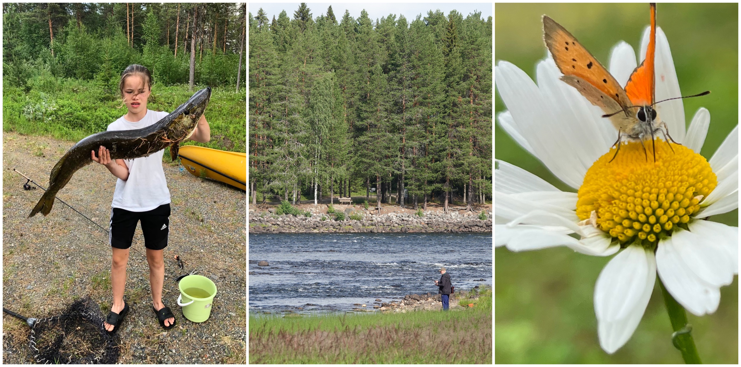 Tävling: Fiskelycka och andfamiljer – här är läsarnas bästa sommarbilder