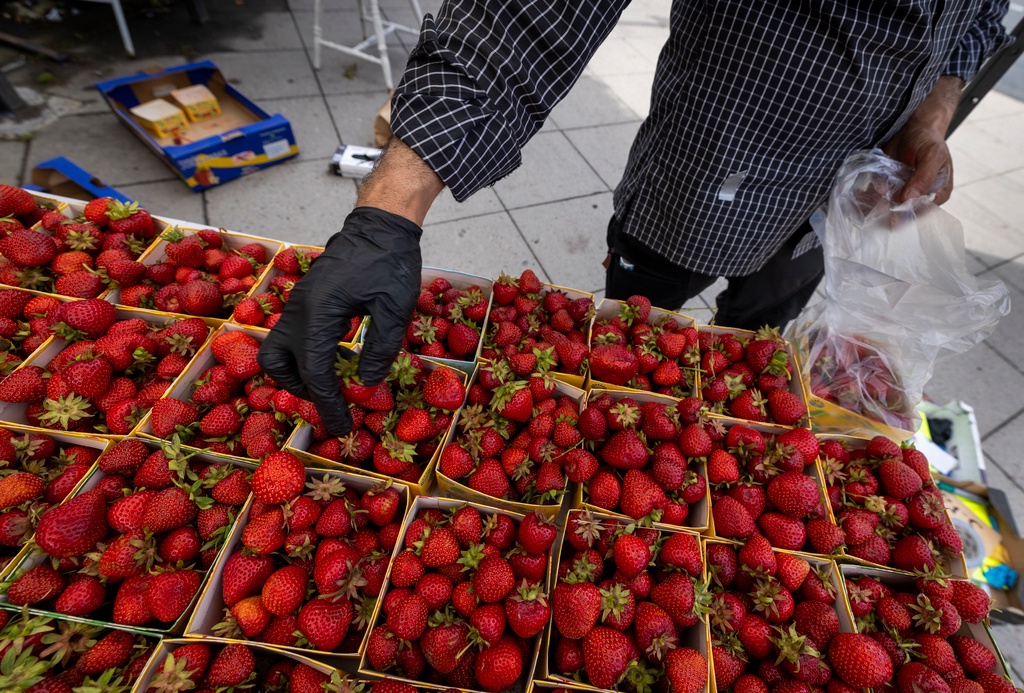 Matpriserna står stilla – bara en kedja höjer